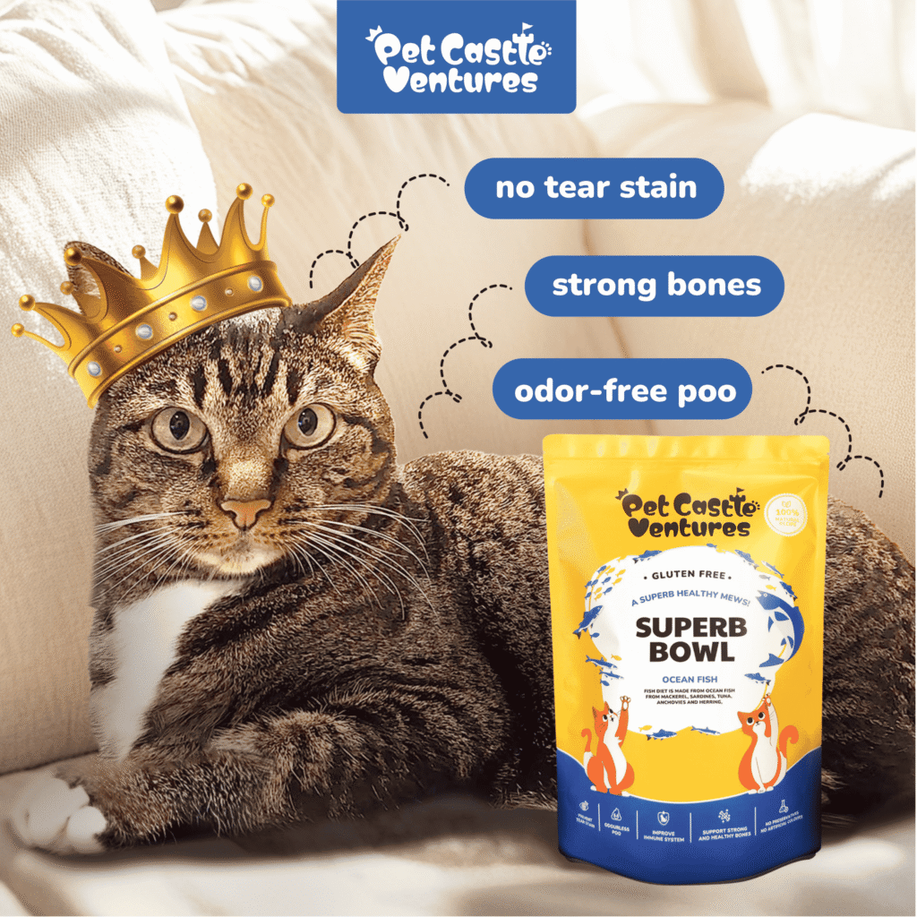 Superbbowl Desc Image